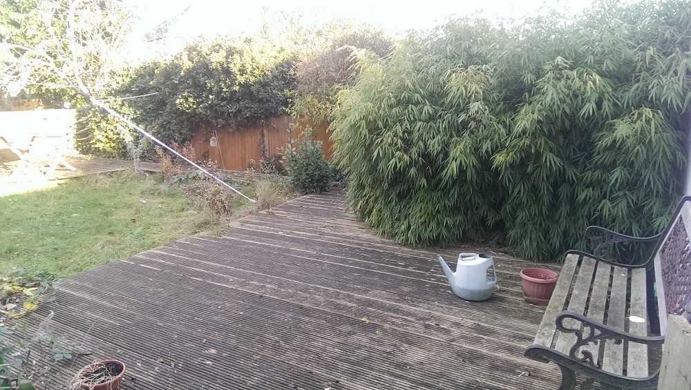 Warren Road - Picture 3