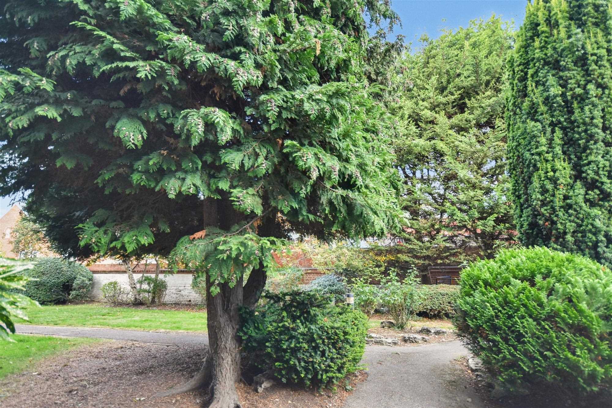 Mayfield Road - Picture 8